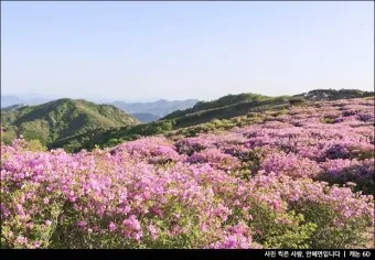 봄 국내 여행지 베스트 10 추천 맛집_17