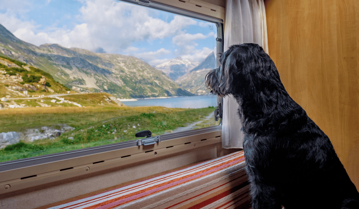 캠핑카_중고가격_21