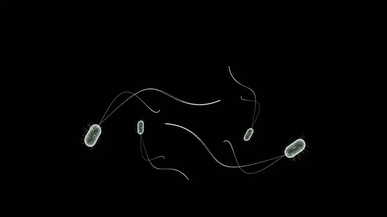 장내 미생물과 노화