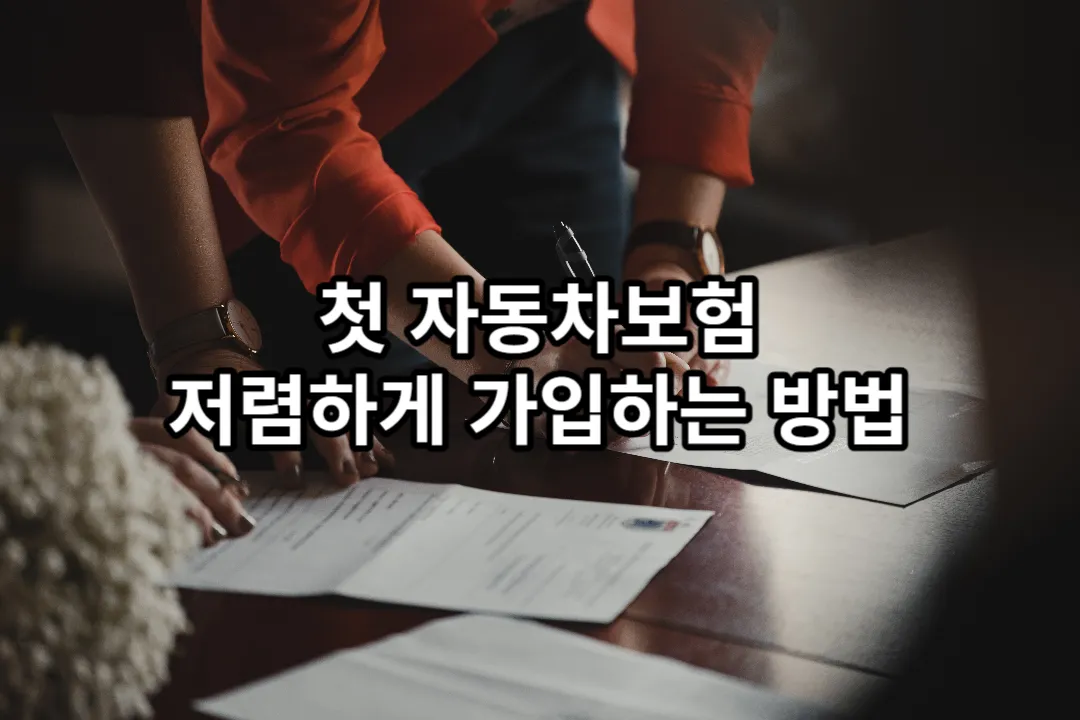 첫 자동차 보험 저렴하게 가입하는 방법