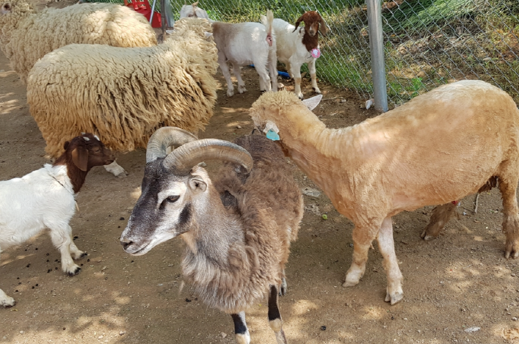 파주 퍼스트가든