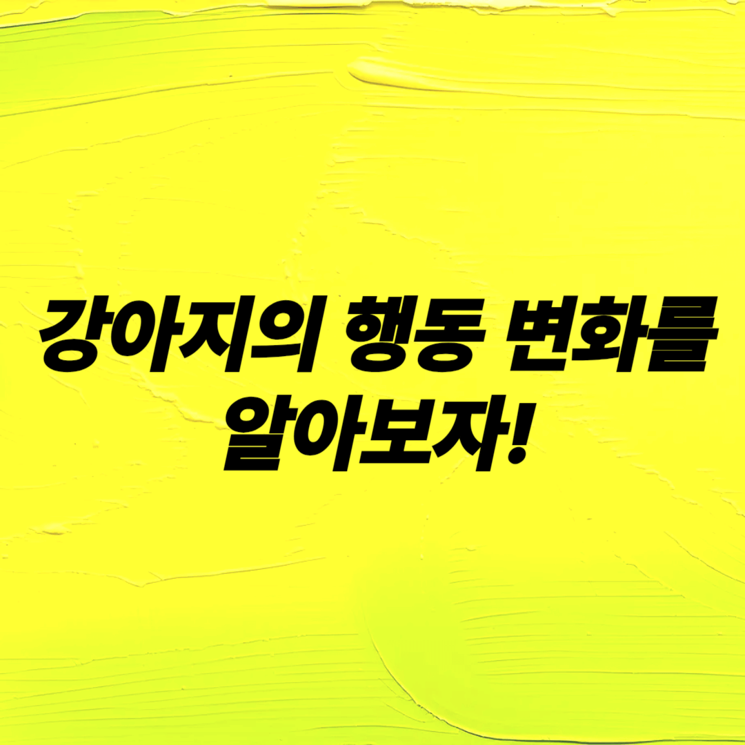 우리 집 강아지가 보내는 신호 해석하기 강아지 행동분석