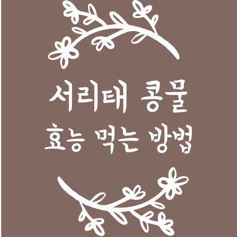 서리태 콩물 효능 먹는 방법