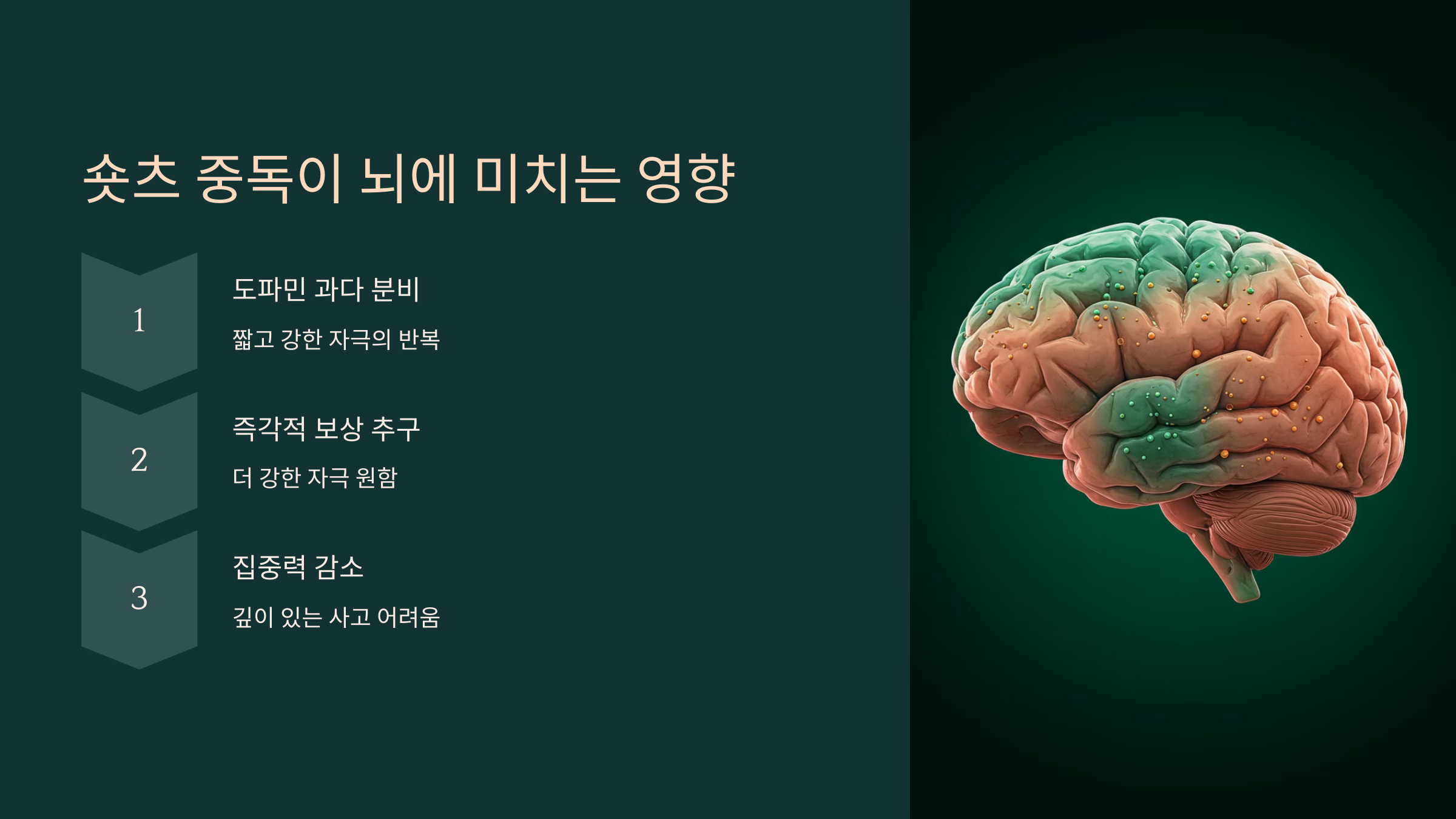 2. 숏츠 중독이 뇌에 미치는 영향