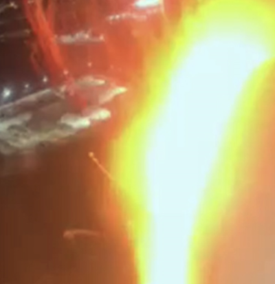 버드스트라이크