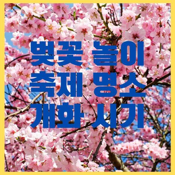 벚꽃명소