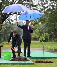 나무 옮겨 심는 꿈 해몽풀이 [무료 꿈해몽]