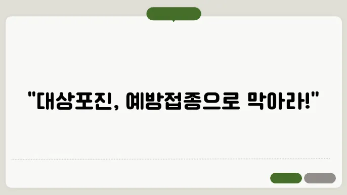 대상포진 예방접종 효과적