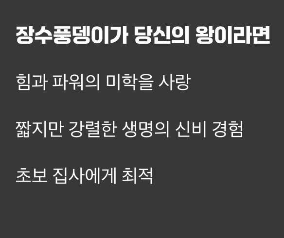 그래서 당신의 왕은 누구인가요?
