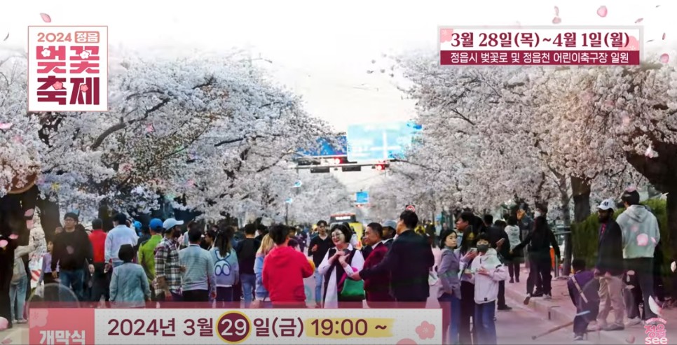 2024 정읍 벚꽃 축제