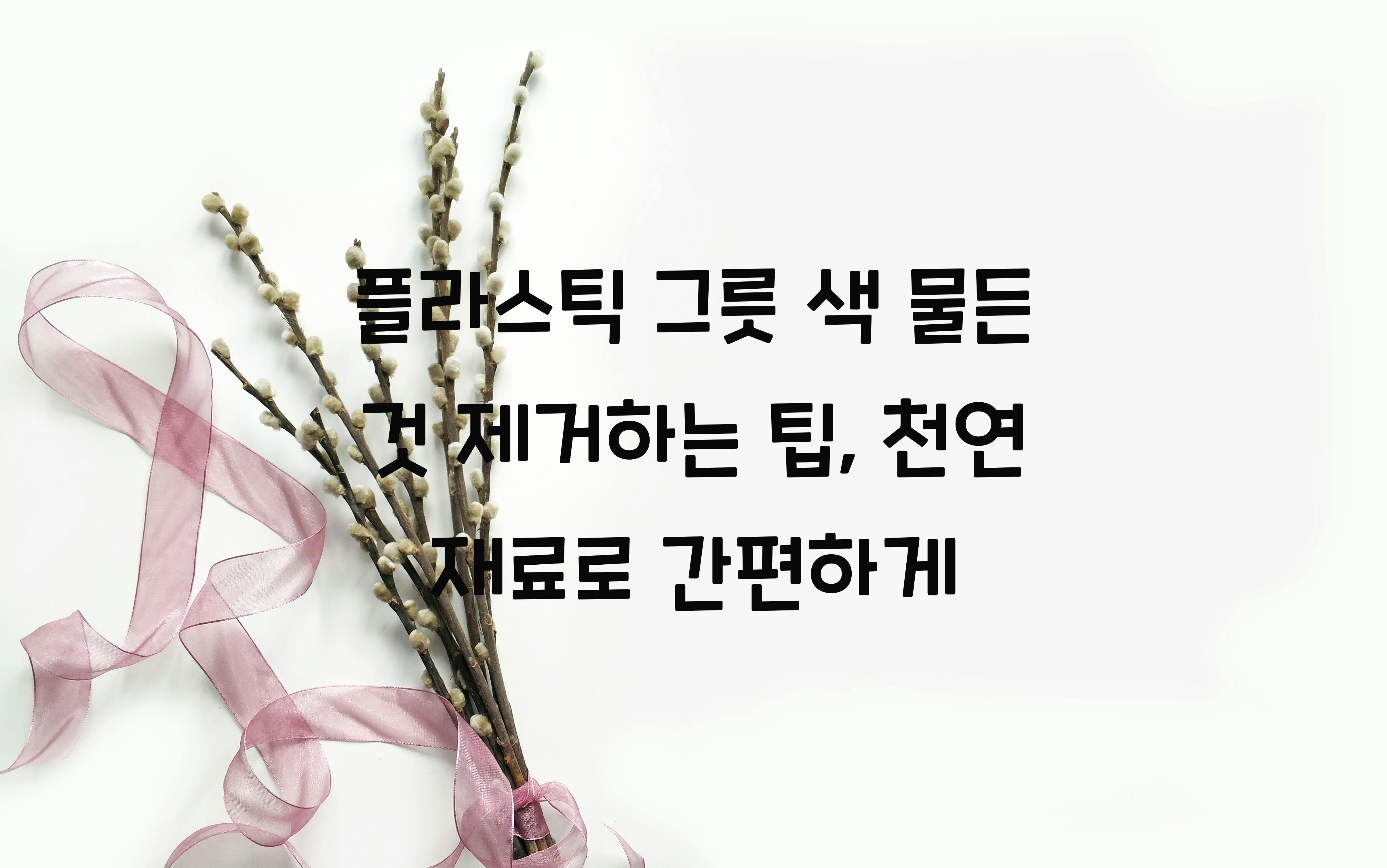 플라스틱 그릇 색 물든 것 제거하는 팁