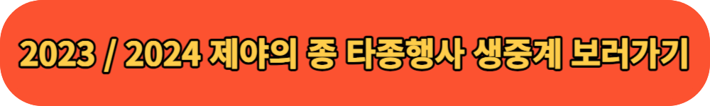 2023 제야의 종 타종행사 보러가기 버튼
