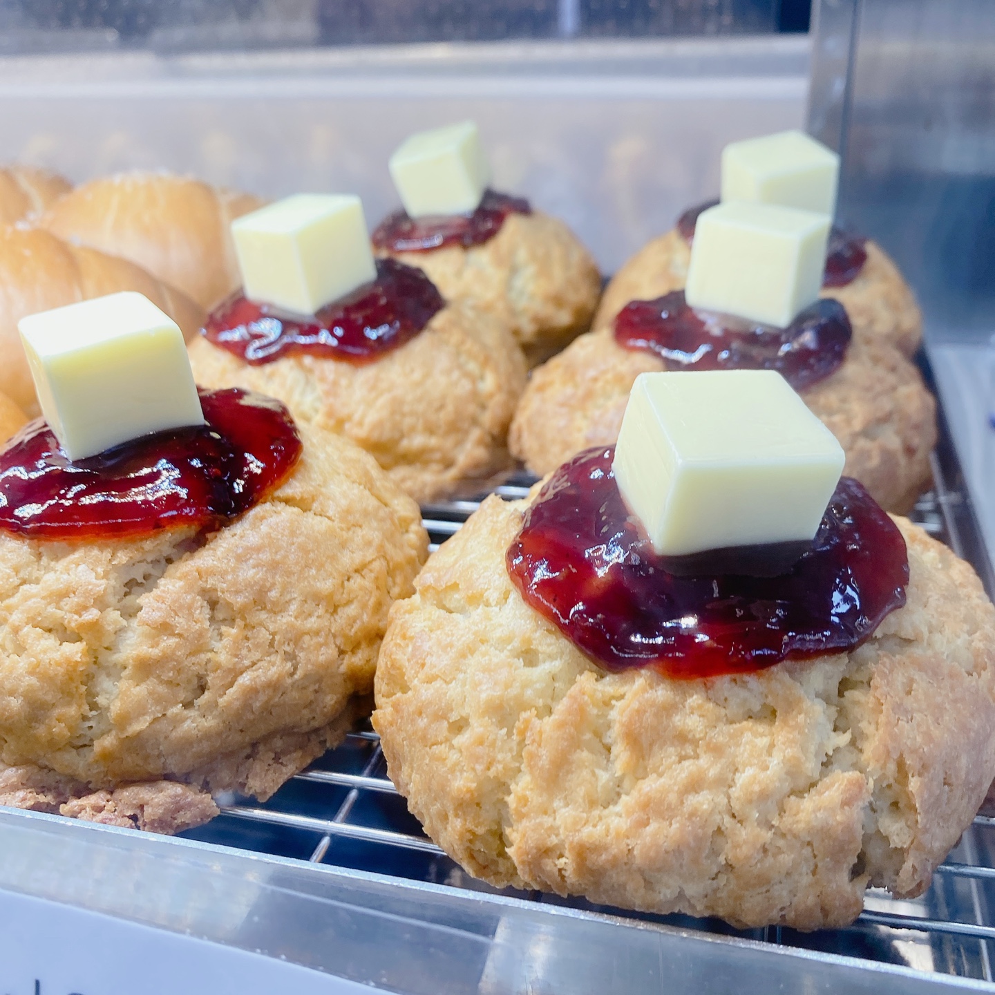 노티드 도넛 제주 애월 핫플레이스 우유크림 도넛 Knotted JEJU