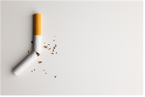 부러진 담배 하나
