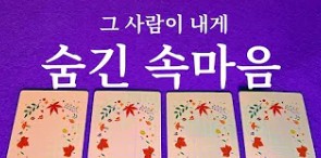 타로 맛집 정회도 타로라떼