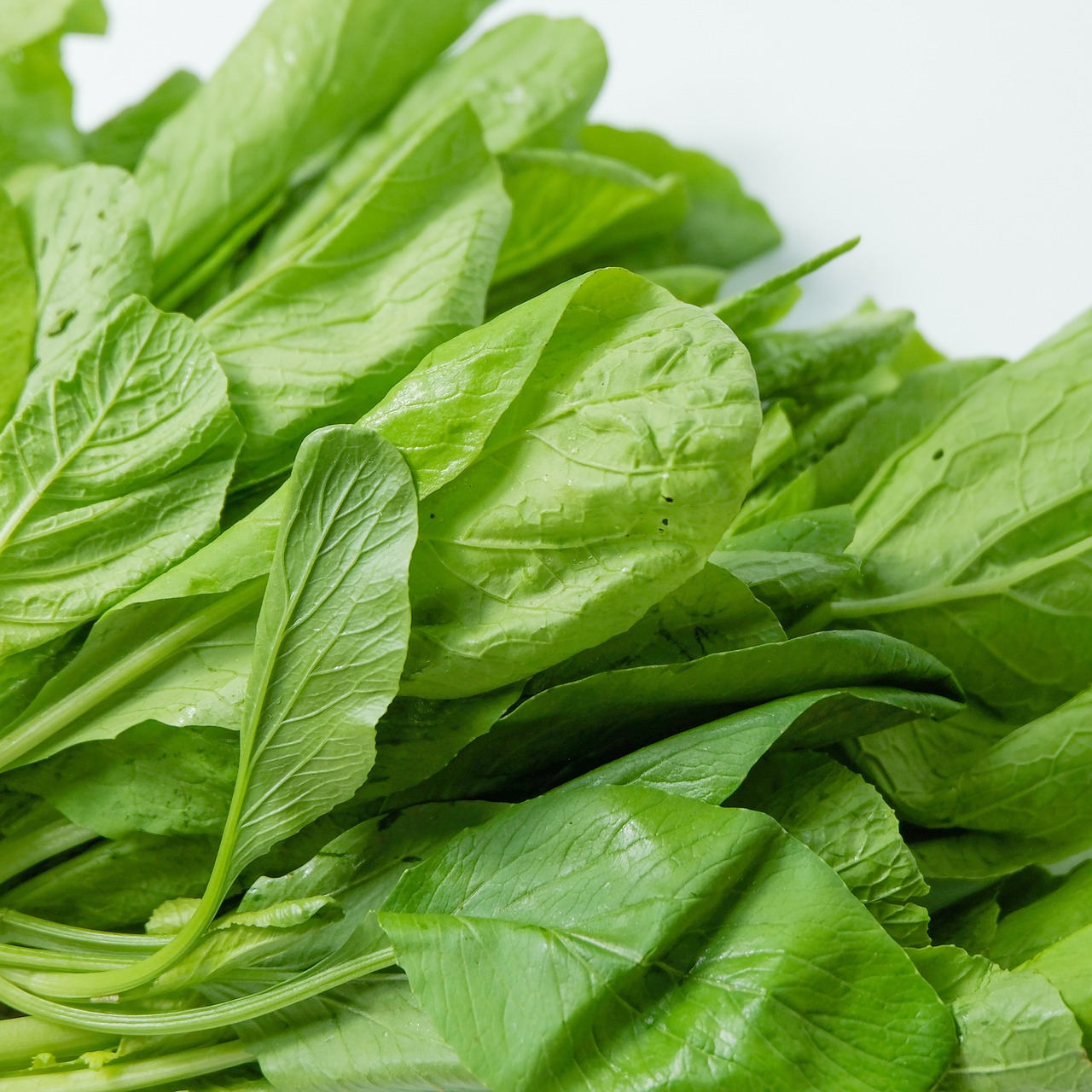 비타민B6가 풍부한 음식 피리독신 효능