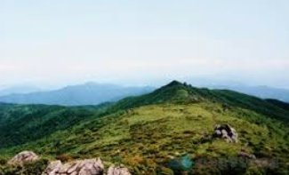 소백산 국립공원 실시간 cctv