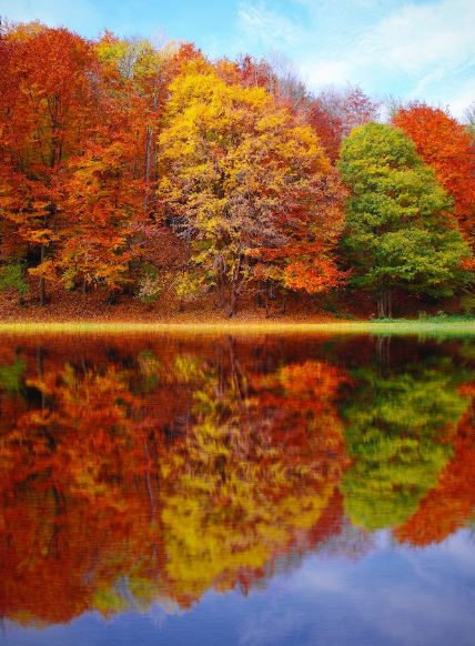 2025 전국 단풍 절정 시기 총정리! ❘ 단풍 명소 추천 BEST 5