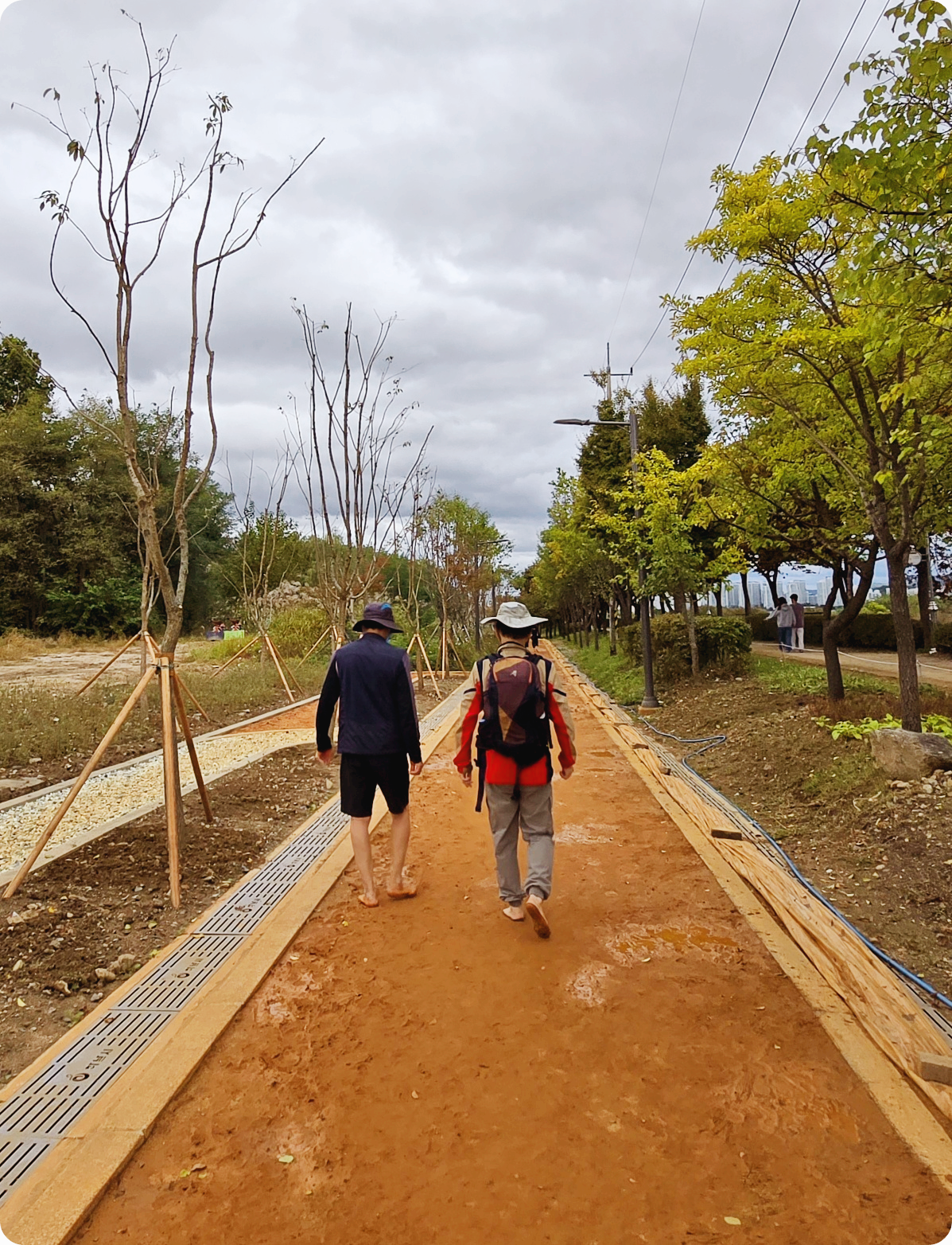 맨발걷기 어싱효과