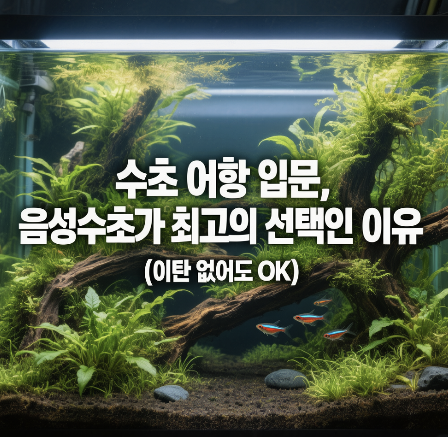 수초 어항 입문, 음성수초가 최고의 선택인 이유 (이탄 없어도 OK)