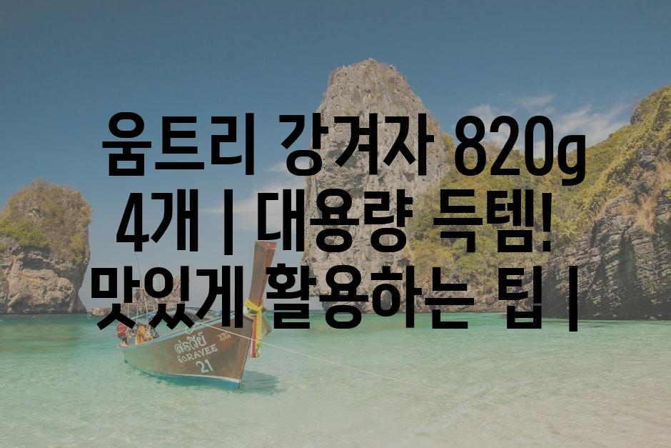 샘플 (80)
