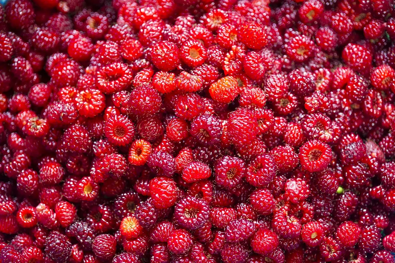 혈중 콜레스테롤