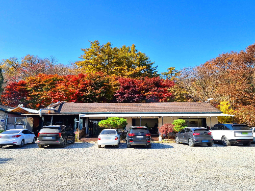 참 숯 바베큐, 용인 맛집, 고기리 맛집, 장작구이, 장작구이 통닭, 장작구이 삼겹살