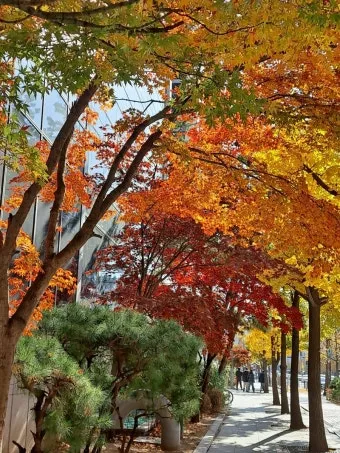 사돈 사둔 맞춤법 뭐가 정확한 맞는말일까_15