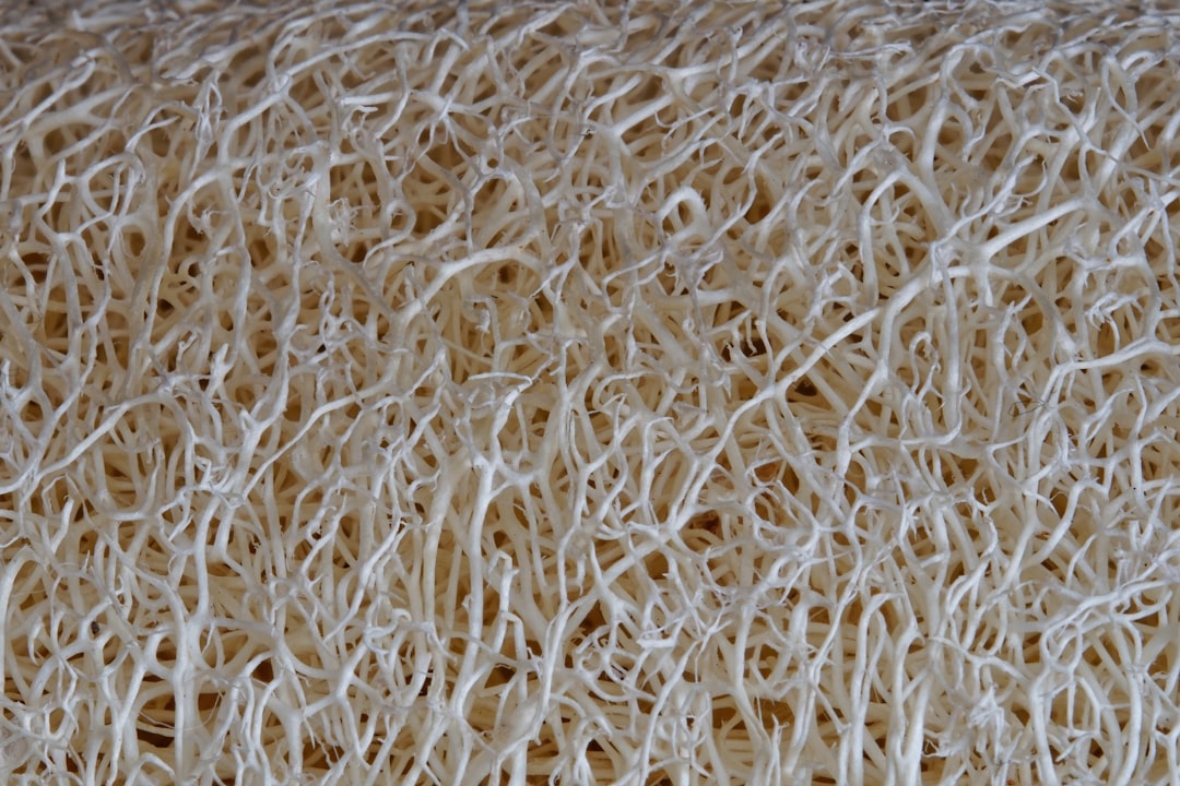 Fiber