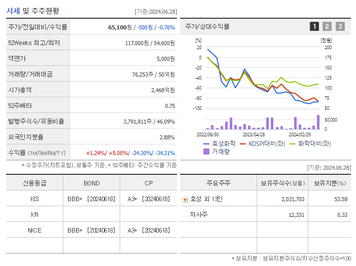 효성화학_기업개요
