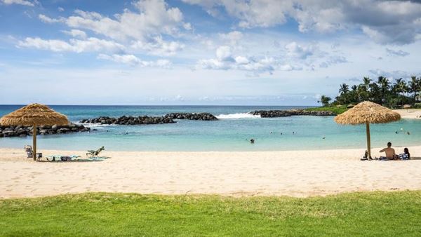 하와이 신혼여행