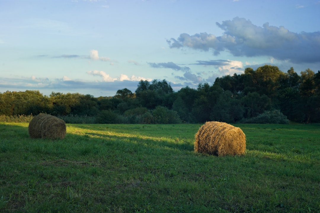 '농지' (farmland)