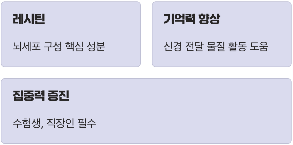 2. 뇌를 깨우는 똑똑한 간식