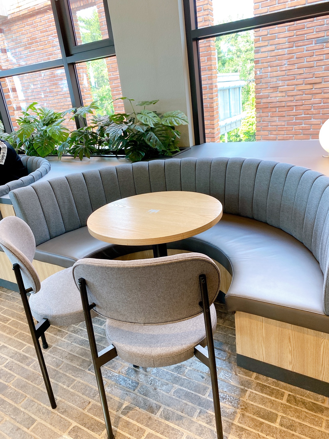 제주 애견 할리스 연북로점