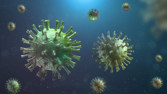 충주 독감 무료 예방접종 대상자 기간 병원