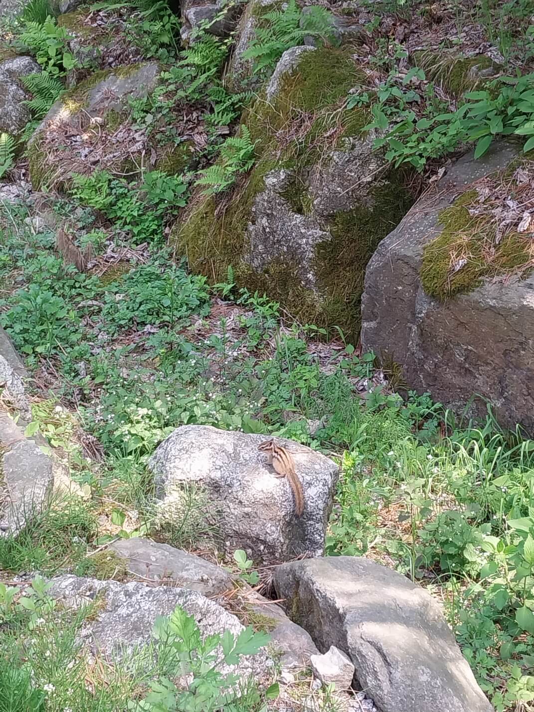 다양한 체험활동이 가능한 &amp;#39;잣향기푸른숲&amp;#39;