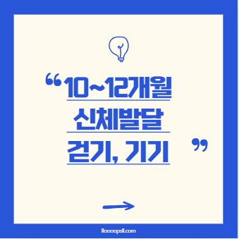 10~12개월 아기의 신체 발달과 이동 방식의 차이
