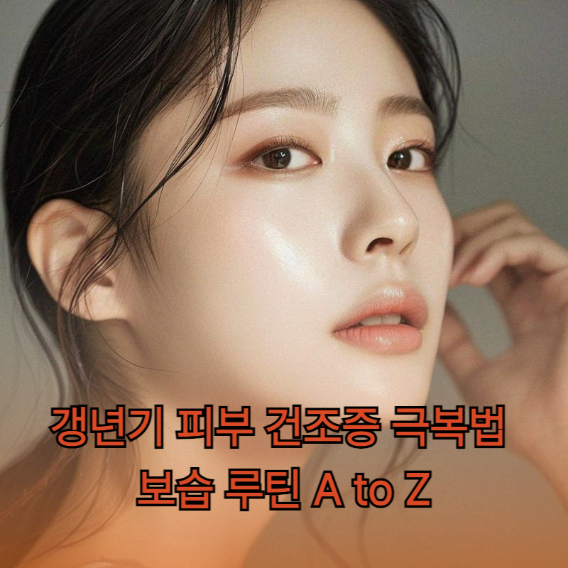 갱년기 피부 건조증