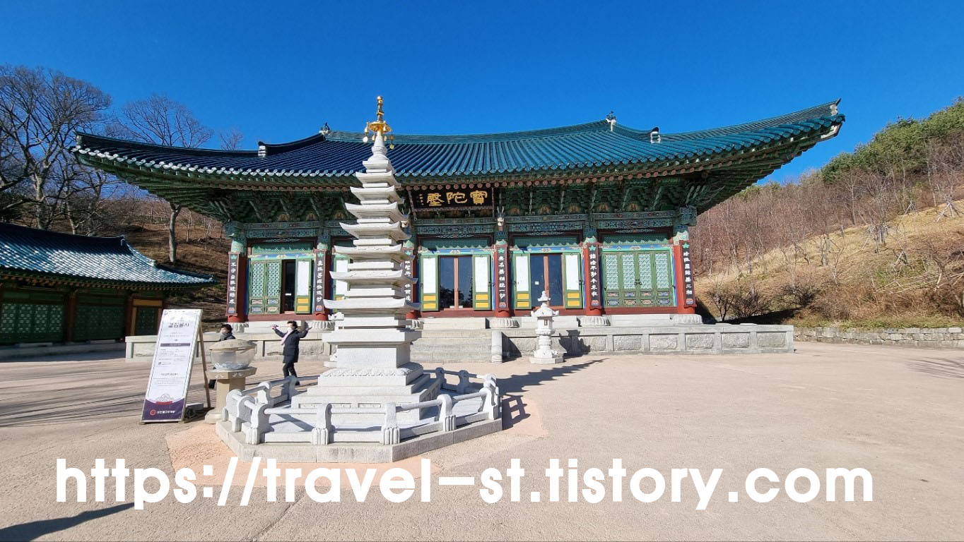 보타전
