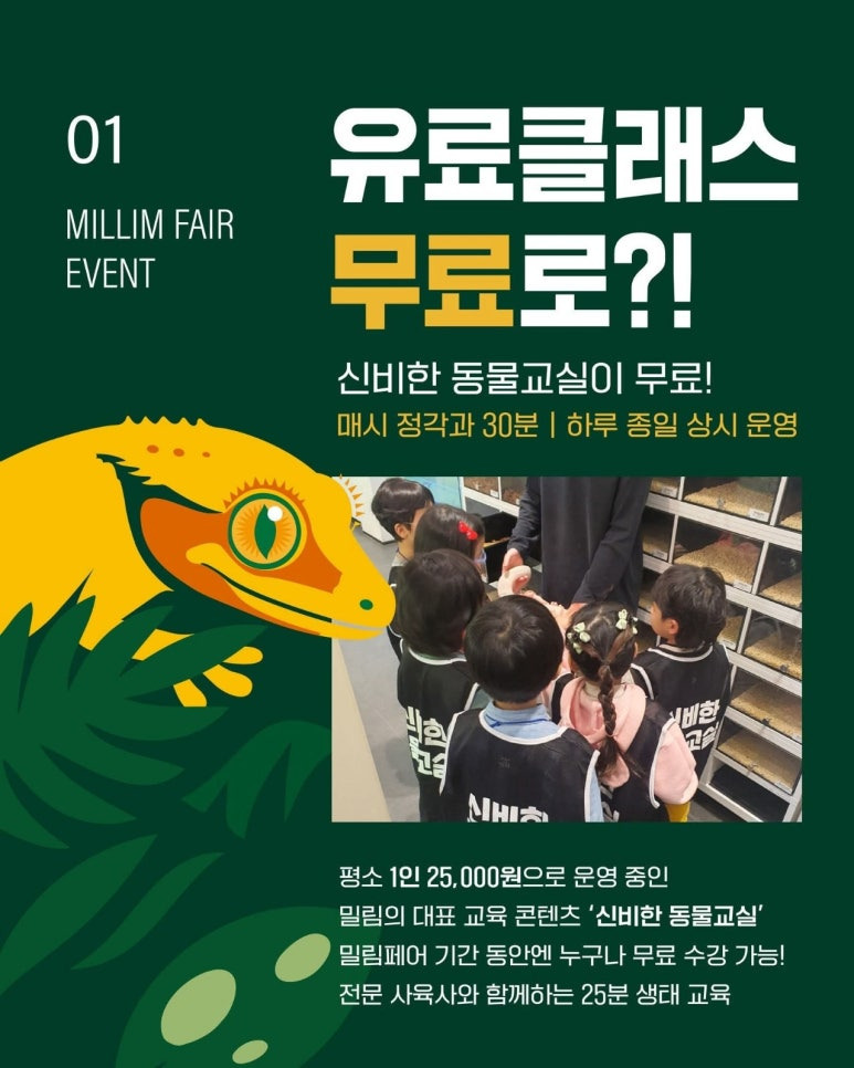 놓치지 마세요! 특별 프로그램 및 하이라이트 📊