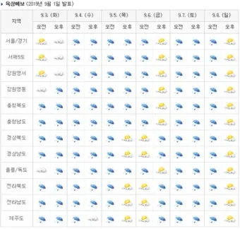 장마 예보 2025년 예상 지역별 강수 시기와 대비책 정리_20