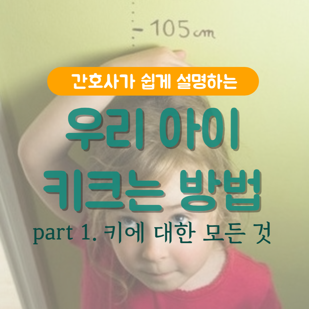 키크는-방법-prat1-키에-대한-모든-것
