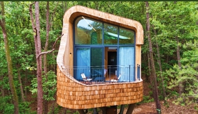 수락 휴-트리하우스