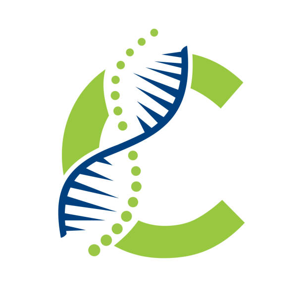 액체생검 비용 가격 단점 바이오마커 분자진단 상용화 임상 장점 단점 장단점 정확도 ctDNA 암 진단 재발 감지 치료 맞춤 개별화 개인 혈액 circulating tumor 순환 종양 Liquid Biopsy 표적 치료제 항암 조기