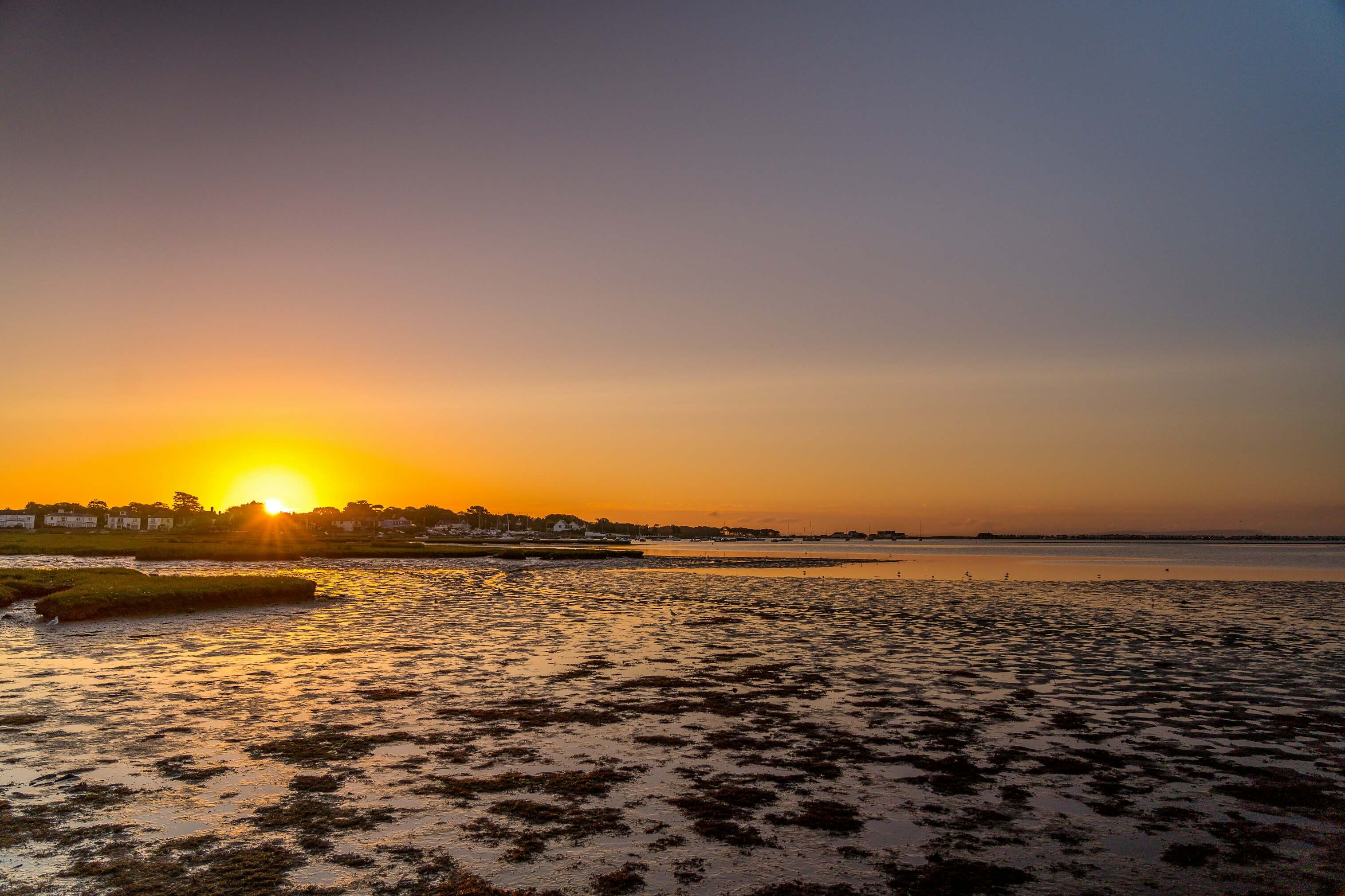 무안갯벌축제 일정