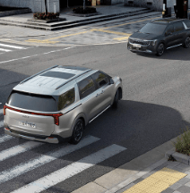 카니발 하이브리드