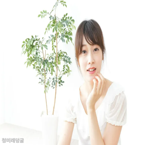 토복령