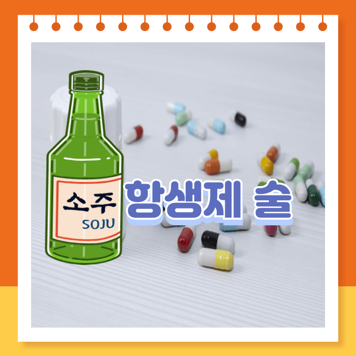 항생제 먹고 술마셔도 될까