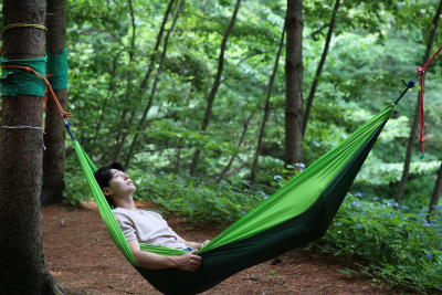 국립산림치유원 예약 방법 이용 가격