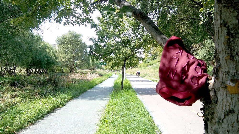 서울둘레길 안양천 '이건 뭐지?'